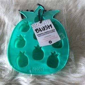 BNIB Pineapple Ice Mold